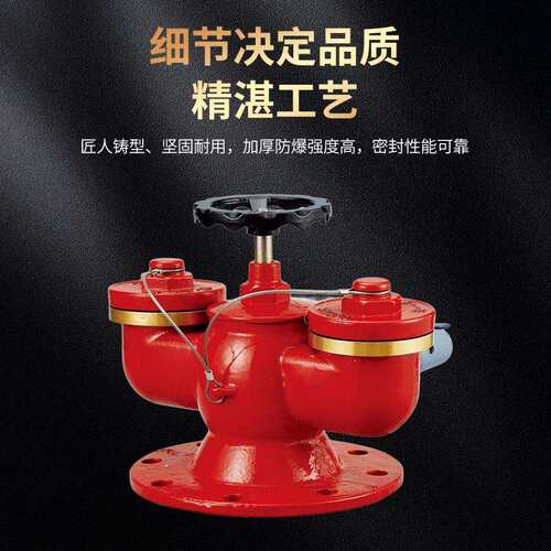 地上多功能水泵接合器 SQD100-1.6水泵结合器地下水泵结合器