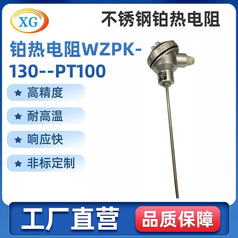 供应高品质热电阻铂热电阻WZPK-130/PT100