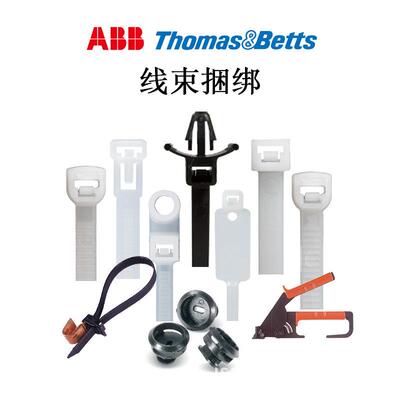 AB-B通色L-418-0贝-MCatamounFZWt黑尼龙扎带微型束线带