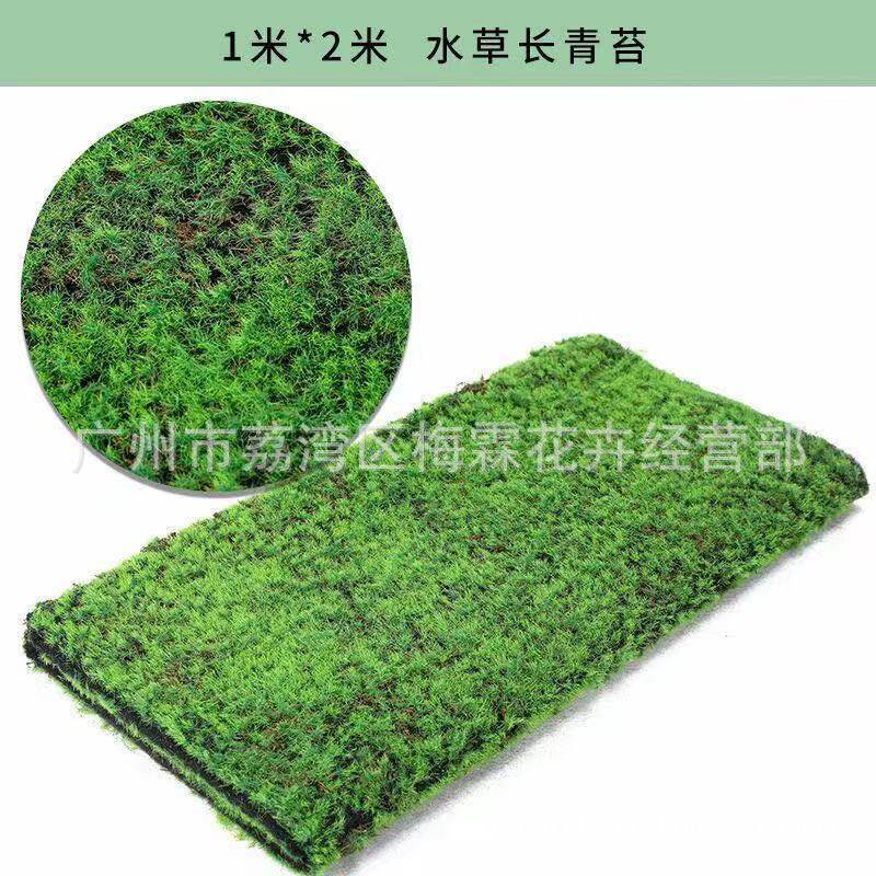 仿真苔藓草皮永生苔藓景观装饰小场景布置仿真石头配饰