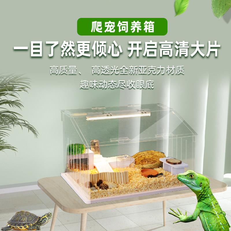 爬宠饲养箱pvc保温箱寄居蟹芦丁鸡守宫鬃狮蜥蜴蛇乌龟鹦鹉恒温箱