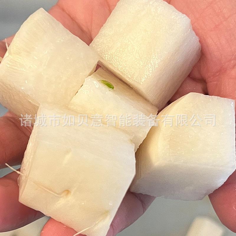台湾白萝卜切块机 果蔬切块清洗设备 不锈钢西红柿掰块机
