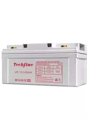 Techfine泰琪丰蓄电池 12V65AH 直流屏 电梯门禁 UPS/EPS电源主机