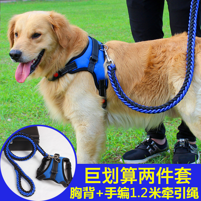加粗三件套狗狗牵引绳小中大型犬金毛秋田狗链子胸背带项圈狗绳子