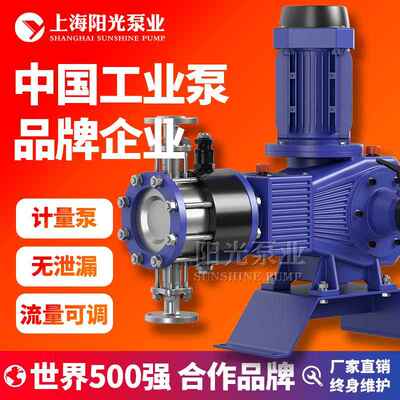 【定制】DY-ZR型液压隔膜式计量泵加药计量泵膜片计量泵