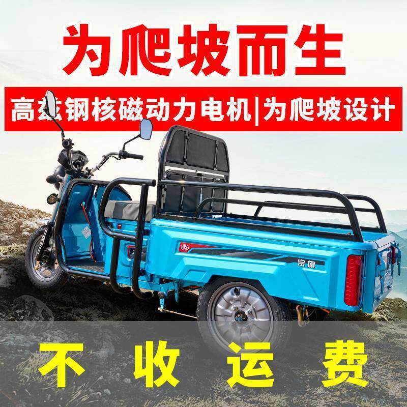 电动三轮车用小型老年代步TMC三轮车型11米接送孩子.拉货小家车