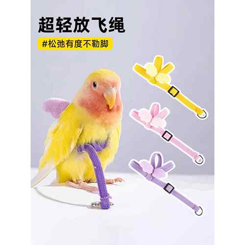 鹦鹉的飞绳不会伤到脚。鸟超轻牵引绳，出门飞。鸟行走神器。小太