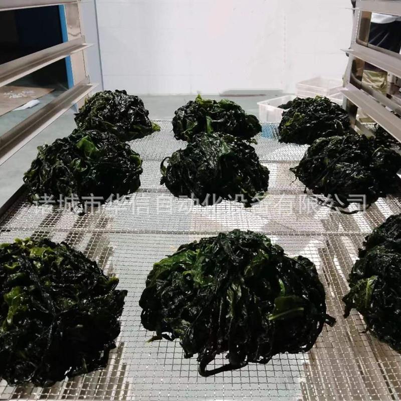 大型海带烘干机 全自动空气能海带干燥设备海苔烘干箱海茸烘干房