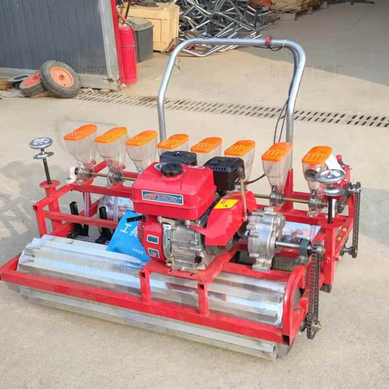 胡萝卜韭菜播机精播芥菜yl-bzj菜心种机茼蒿心菜点播卷机