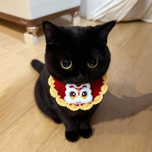 新年猫咪口水巾小猫围脖小配饰狗狗围脖猫咪围兜宠物围巾过0824k