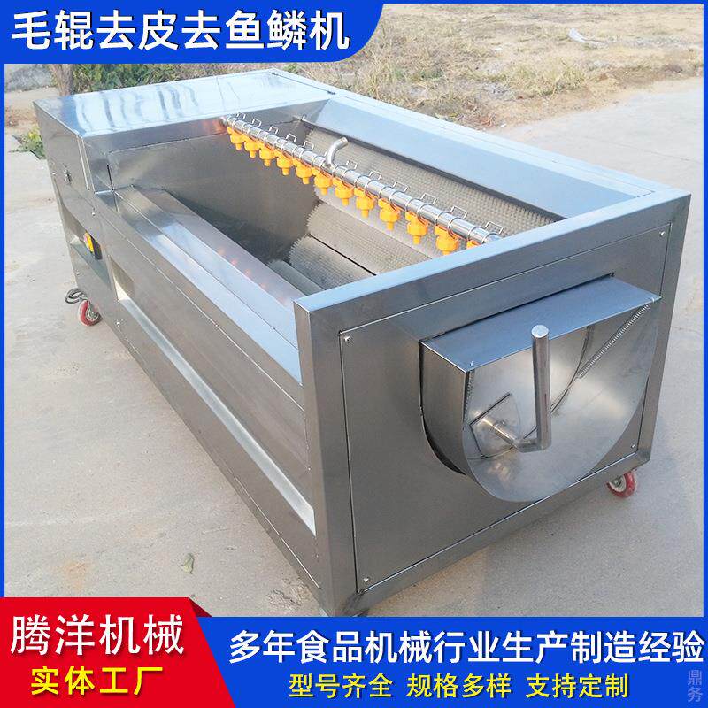 马蹄毛刷去泥设备土豆药材去皮机器螺旋毛辊萝卜自动清洗机