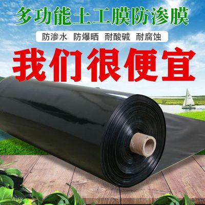 土工膜防渗膜鱼塘藕池防水复合土工膜养殖沼气池加厚塑料薄膜黑色