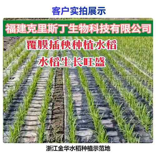 竹纤维全降解水稻地膜防病虫农用薄膜PLA+PBAT环保农膜可降解