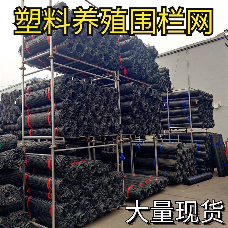 塑料养殖网围菜园围果园养鸡养鸭隔离防护网家禽脚垫漏粪黑色网格
