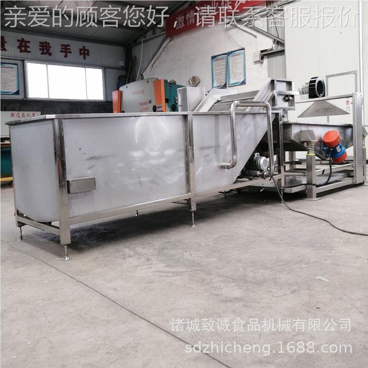 MDA网链菜清洗线 辣椒涡流洗机 厂家直销洗自动芹清气泡清线