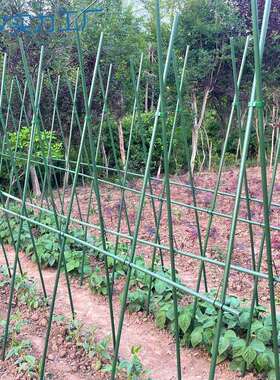 py豆角架黄瓜架四季豆爬藤支撑架菜园菜架子种菜种植蔬菜架杆搭支