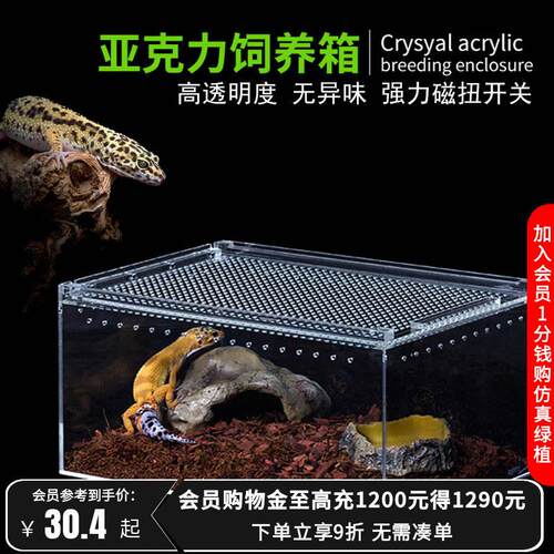 瑞皮Reptizoo压克力饲养盒蜗牛豹纹守宫角蛙蜘蛛蚕宝宝昆虫爬宠箱