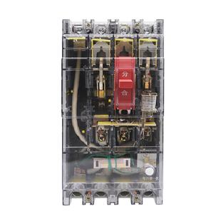 250A160A400A630A塑壳漏电断路器三相四线保护器380V透明 DZ20LE