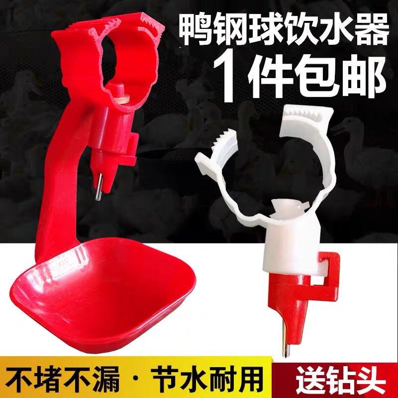 鸭子钢球饮水器 鸭用自动饮水嘴吊杯 鸡鸭鹅不锈钢乳头吊杯饮水器