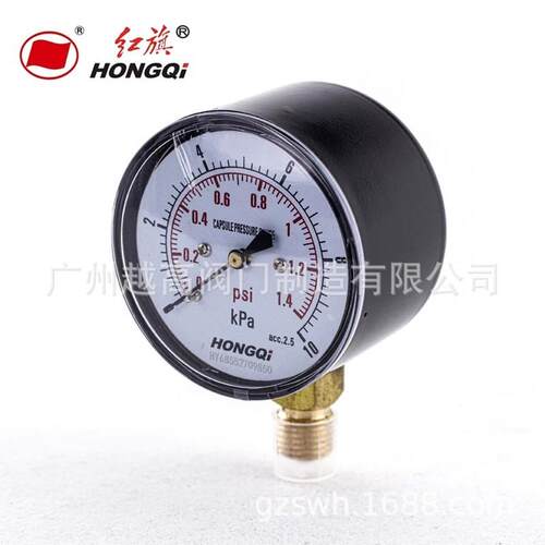 YE径向膜Y压力表TPN-00BF/MFALL全1不锈钢耐震盒隔膜压力表YTP-10