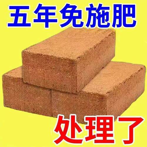 9斤大椰砖大块椰糠砖营养土多肉绿萝园艺耶土通用养花种菜专用土