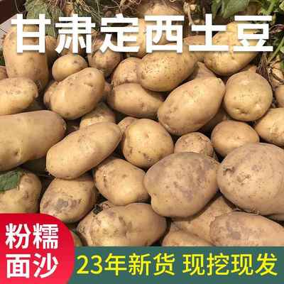 甘肃定西土豆10斤 新鲜现挖高山迷你小洋芋沙面马铃薯可商用