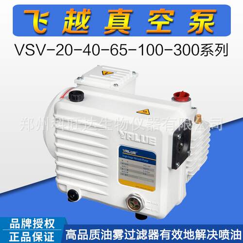 飞越工业级真空泵VSV-20/40/65/100/300系列单级静音抽气飞跃气泵