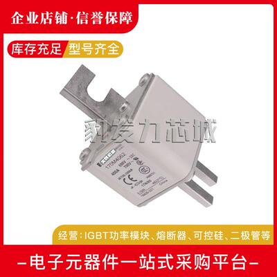 170M4067170M4068170M4069170M5058170M5059170M5060熔断器