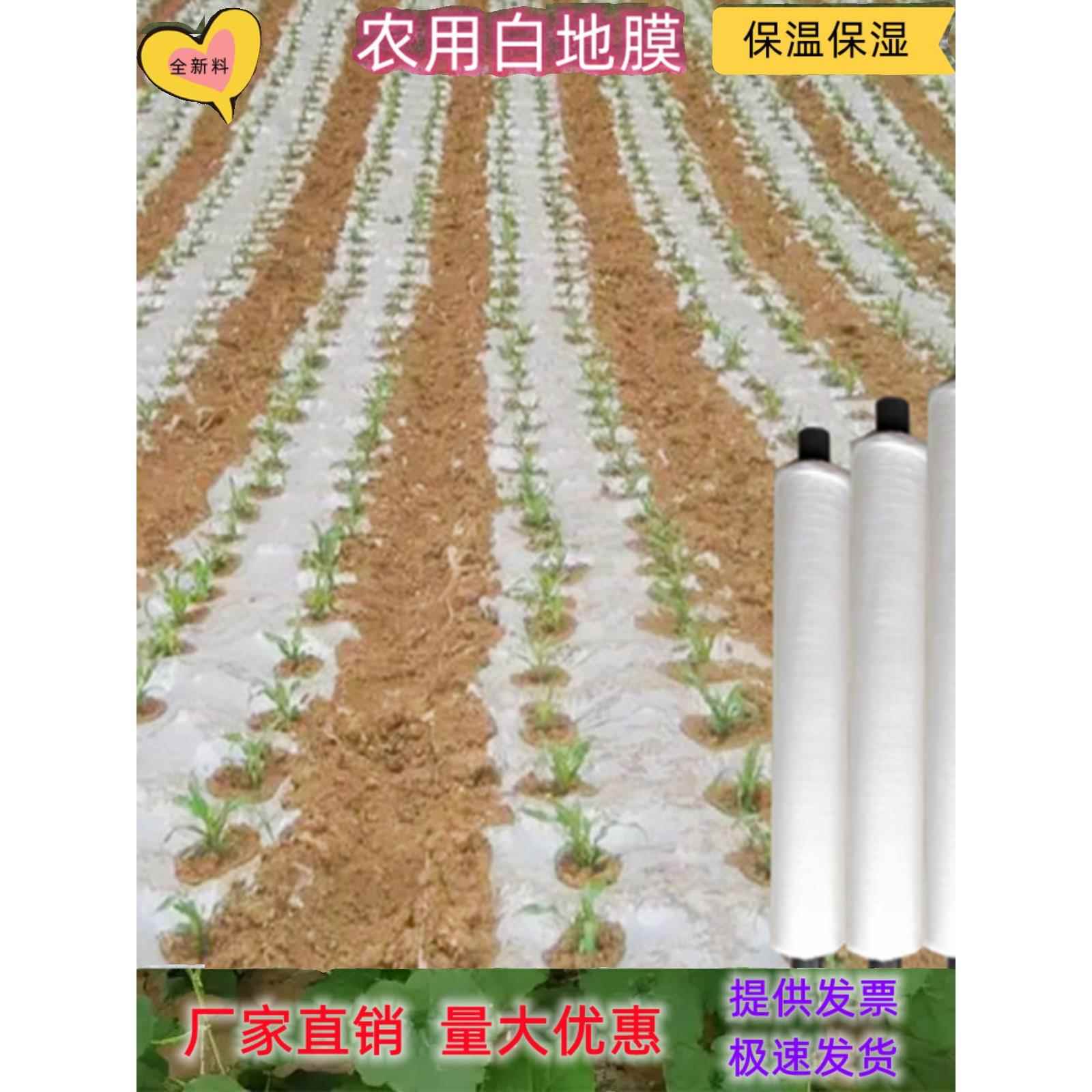 黑白色地膜农用种植保温保湿胶纸塑料薄膜大棚蔬菜果树园建筑护路