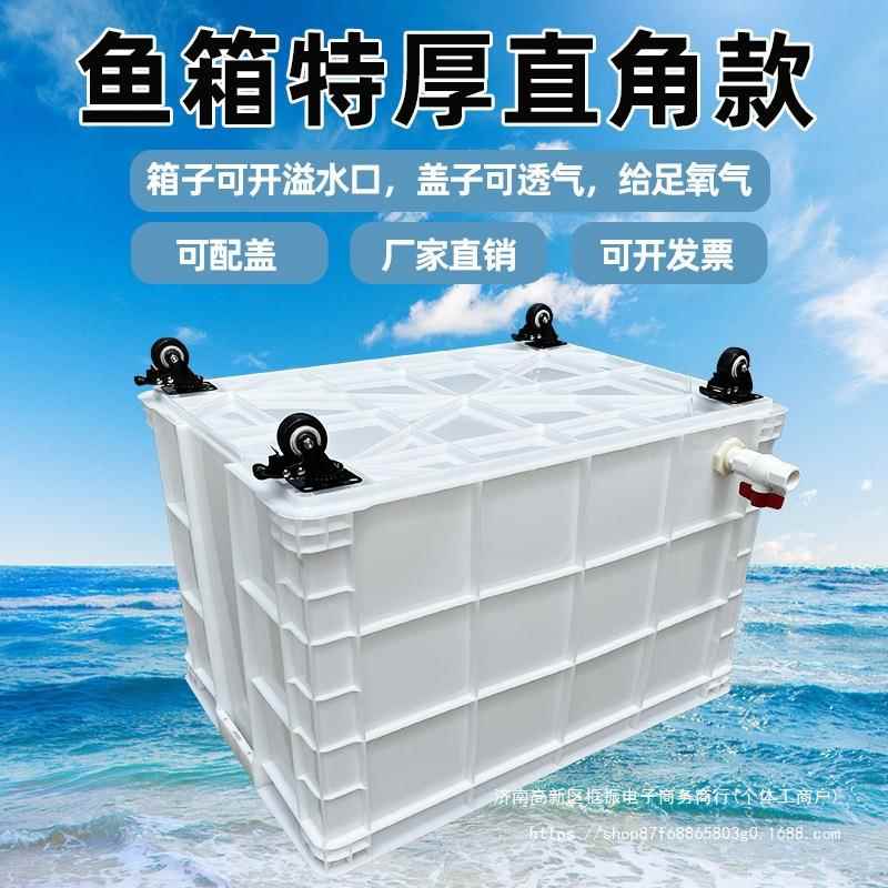 特大号带轮子周转箱养龟带排水口养鱼水箱带孔水产养殖带轱辘鱼桶