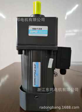 6系列100250瓦单相三相定调速电机（可配刹车&接线盒&阻尼）