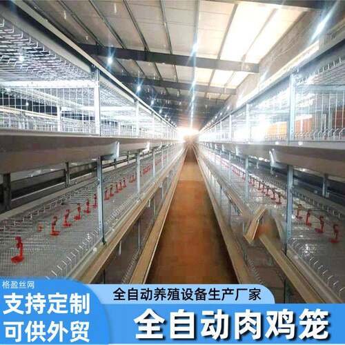 全自动框架肉鸡笼立体式框架肉鸡笼镀锌材质大型鸡场养殖用鸡笼