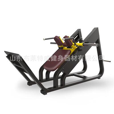 山东健身器材厂家直销健身房用力量器械斜蹲机顺蹬机