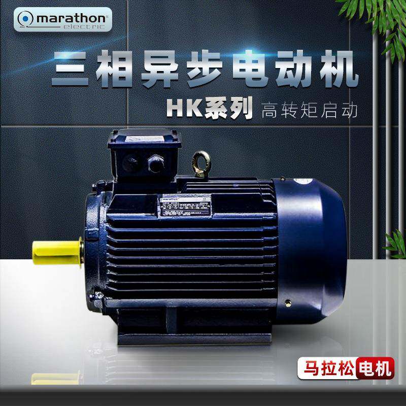 marathon马拉松电机H系列高转矩三相异步电动机立卧式380V铸铁