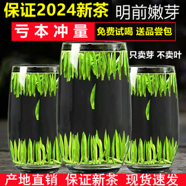 雀舌2024年特级500g绿茶，茶叶竹叶茶青新茶四川正宗峨眉山明前散装