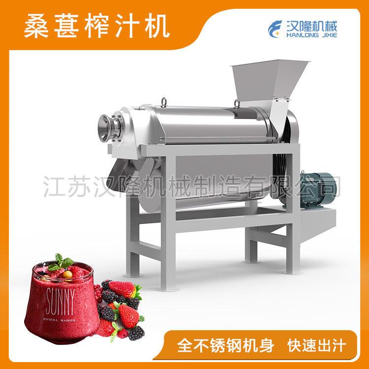 厂价供应出汁率小型工业桑椹子桑葚螺旋榨汁机水果蔬菜打汁机