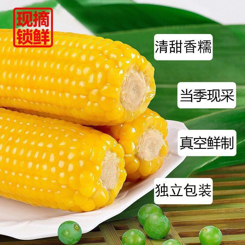 东北黄糯玉米棒真空包装白糯玉米早餐餐即食粘玉米熟黏玉米