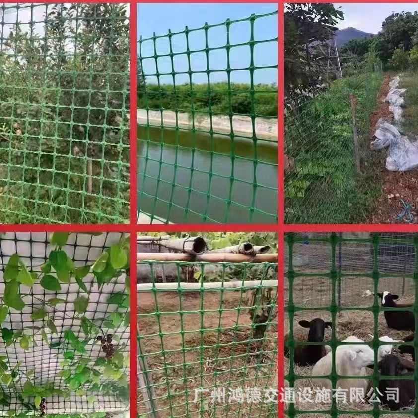 优质塑料网户外家用防护隔离绿化网果园菜地爬藤覆盖绿色养殖网