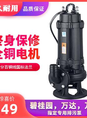 w1k三相泥浆抽粪潜水kw1污水泵千瓦人民排污泵国标v380铸铁其他