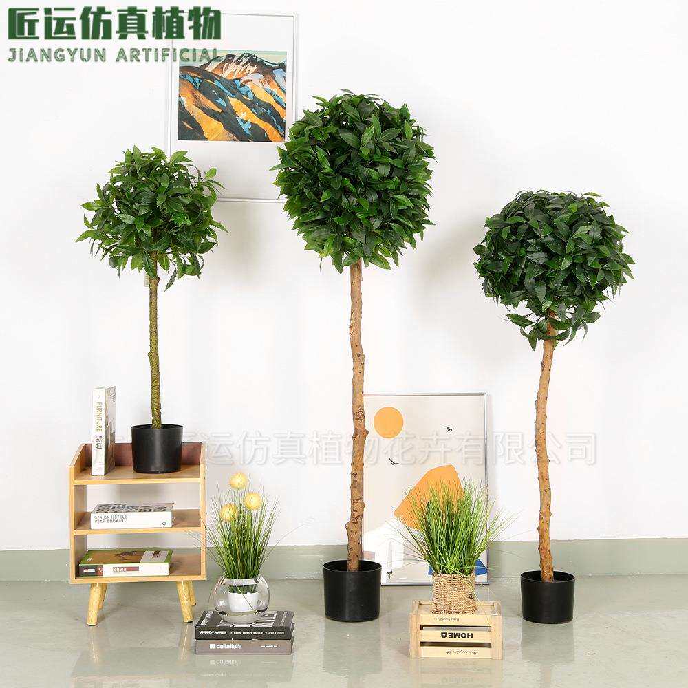 北欧绿植月桂树植物盆栽 仿真绿植物 新款绿植仿真月桂树盆栽厂家