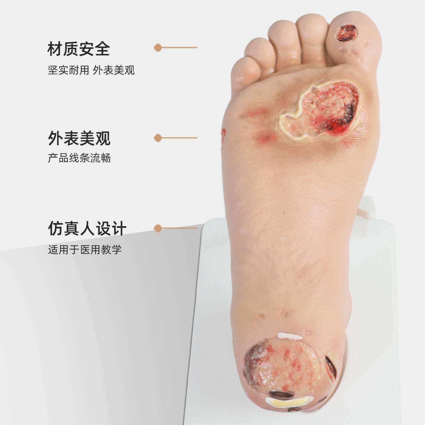 tnb足护理模型工具pvc模具老年人脚部训练设备hs19