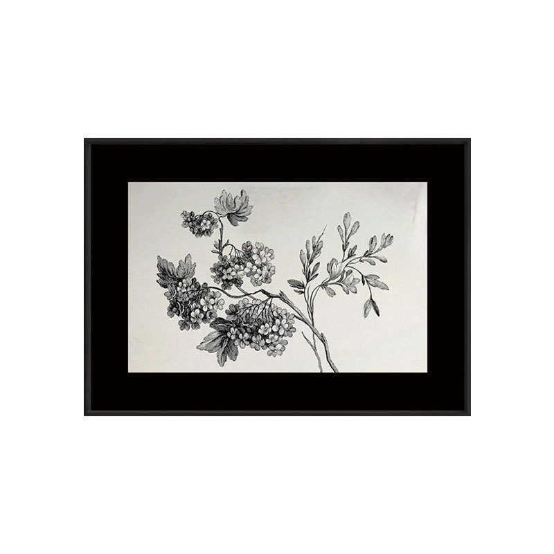 文艺气质复古植物装饰画ins中古黑白工业风线条挂画客厅卧室餐厅图片