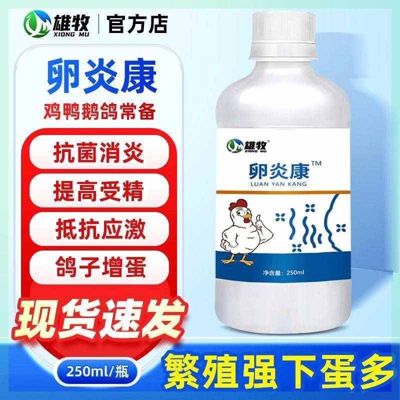 卵炎康蛋禽通用鸡鸭鹅鸽子卵巢炎输卵管炎血壳蛋软壳蛋卵管康兽用