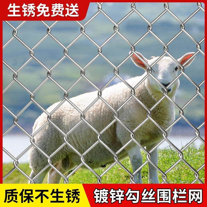热镀锌防锈铁丝网养殖围栏圈钢丝网户外防护网勾花网钢网球场菜地