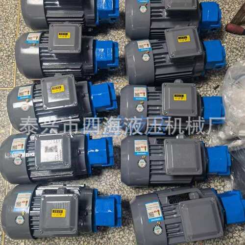 BB-B16JZ-1摆线直插式电机组BB-B全系列油泵电机组东BB-B25JZ-1