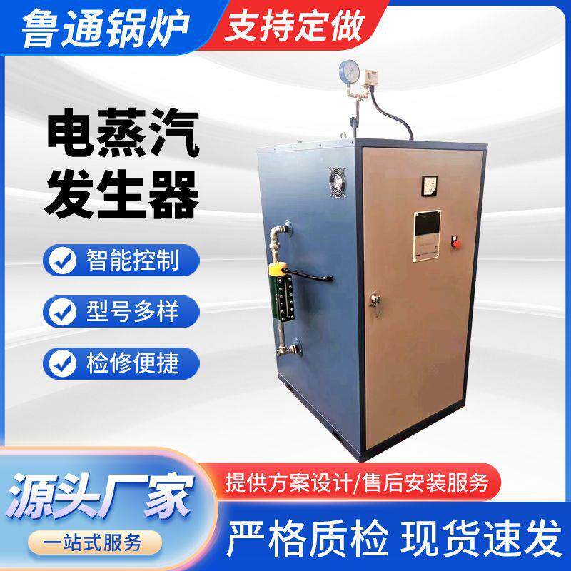 小型立式电热水锅炉食品蒸煮清洗熨烫电蒸汽发生器即热式