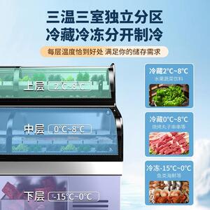 三三控阶梯展示柜商用菜品冷藏冷冻明柜温保鲜103烧烤柜档饭店点