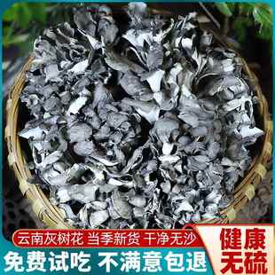 云南特产头茬灰树花干货菌包新鲜片舞茸菌栗蘑菇非浙江庆元非野生