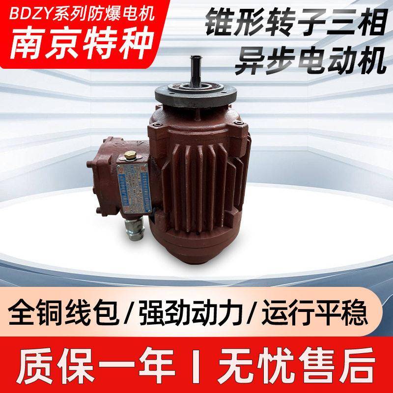防爆型锥形转子制动三相异步电动机BD系列南京特种防爆运行电机