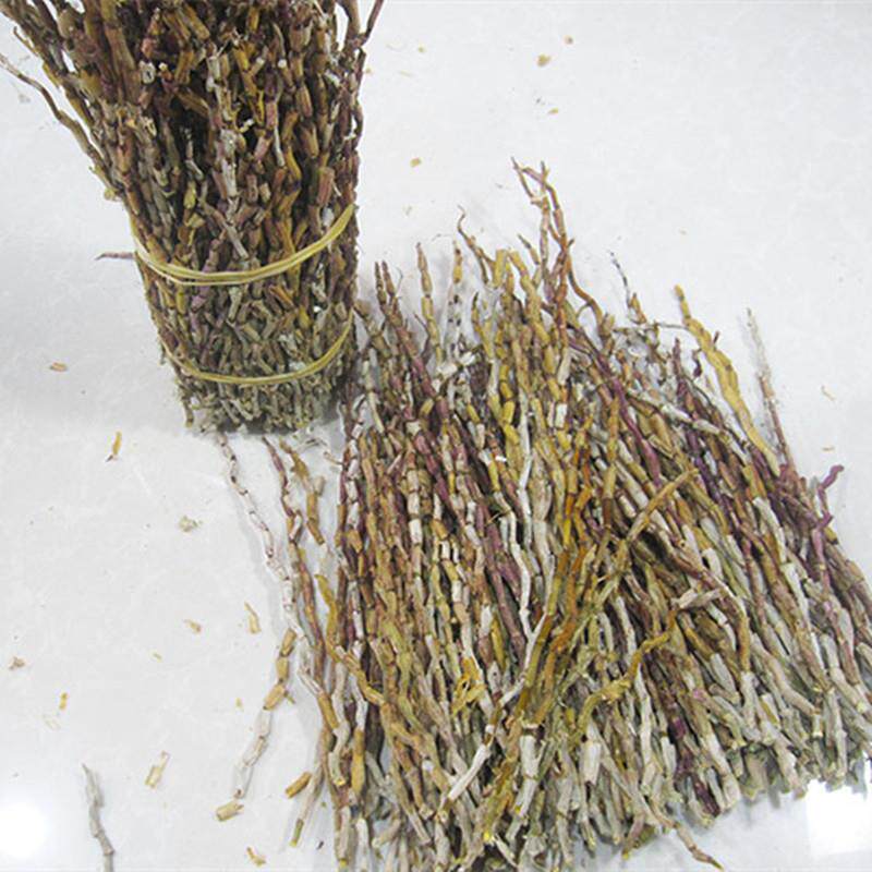 浙江露天铁皮石斛长条云南铁皮红杆条捆条石斛露天烤条